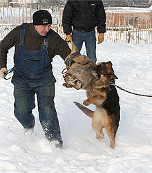 Nicol ot Sofii.
    Николь от Софии. 19.12.2009 г. Второе занятие.