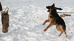 Nicol ot Sofii.
    Николь от Софии. 19.12.2009 г. Второе занятие.